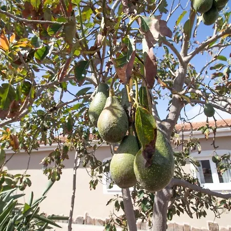Сasa de vacaciones De Lujo Con Jardin Privado Y Vistas Al Mar *